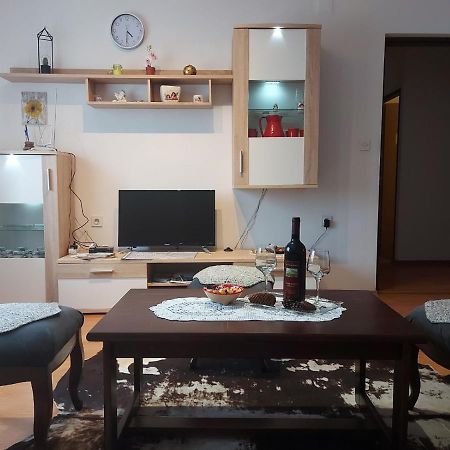 Appartement Apartman Skender 3* Ravna Gora Extérieur photo
