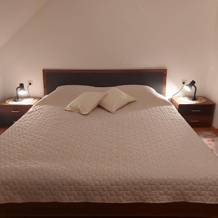 Appartement Apartman Skender 3* Ravna Gora Extérieur photo