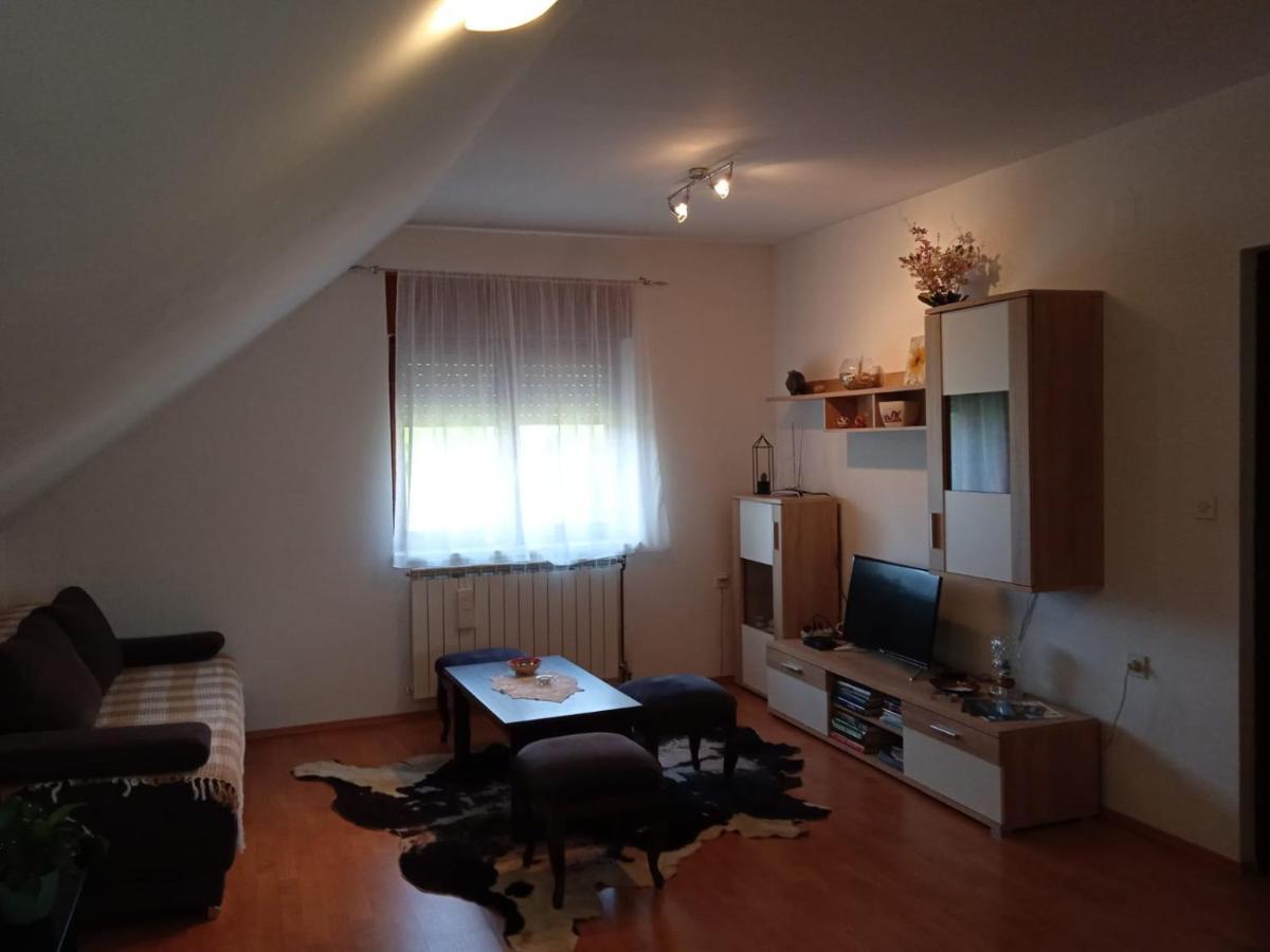 Appartement Apartman Skender 3* Ravna Gora Extérieur photo