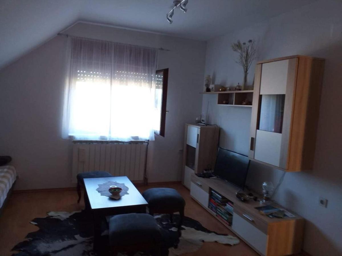 Appartement Apartman Skender 3* Ravna Gora Extérieur photo