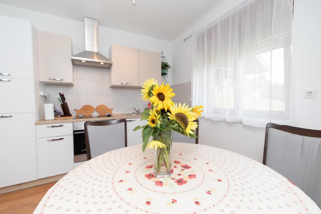 Appartement Apartman Skender 3* Ravna Gora Extérieur photo
