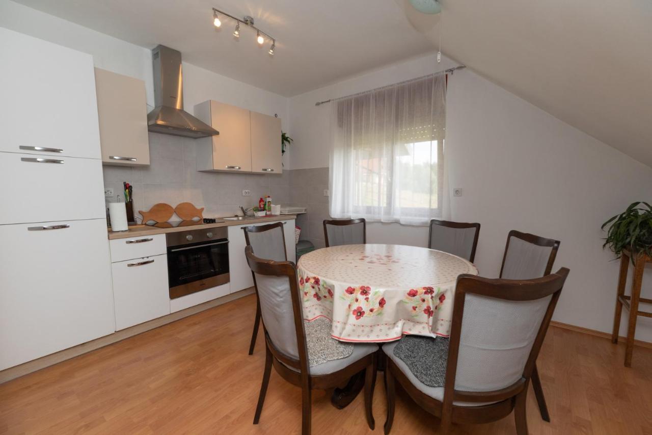 Appartement Apartman Skender 3* Ravna Gora Extérieur photo