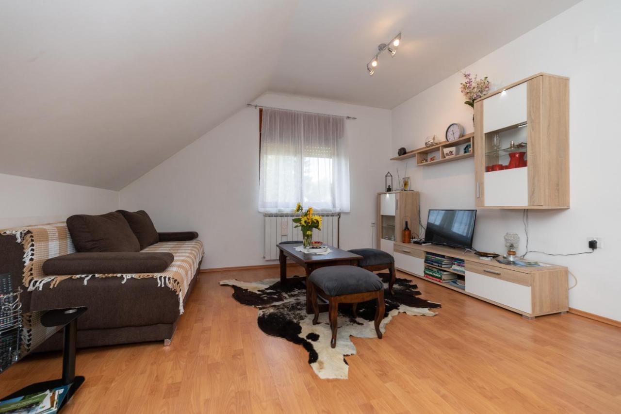 Appartement Apartman Skender 3* Ravna Gora Extérieur photo
