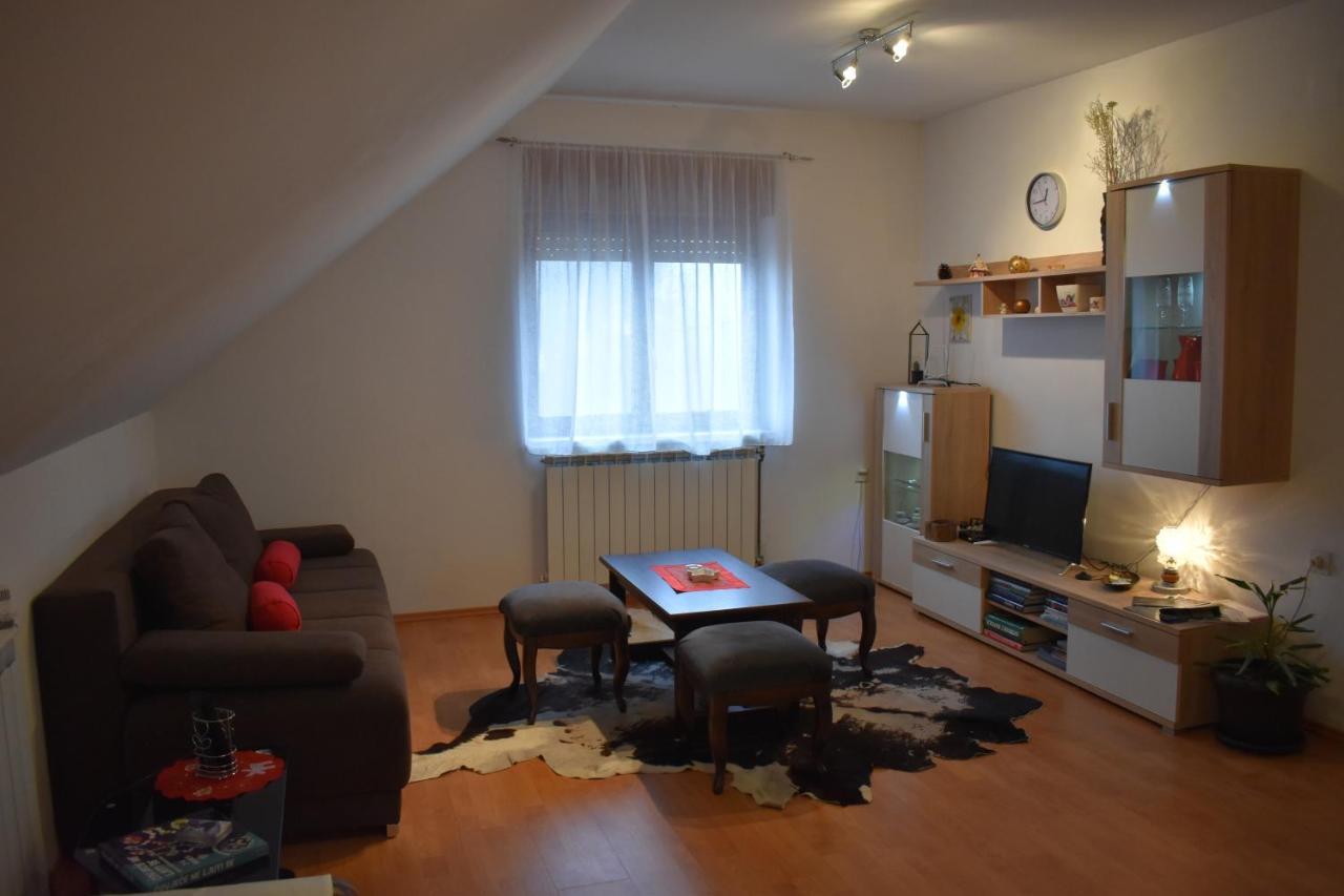 Appartement Apartman Skender 3* Ravna Gora Extérieur photo
