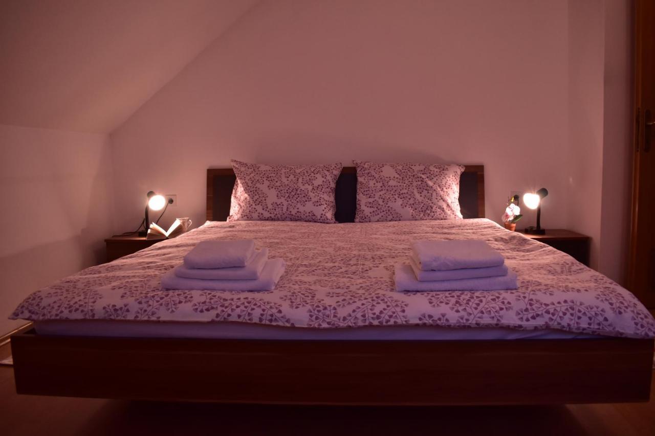 Appartement Apartman Skender 3* Ravna Gora Extérieur photo