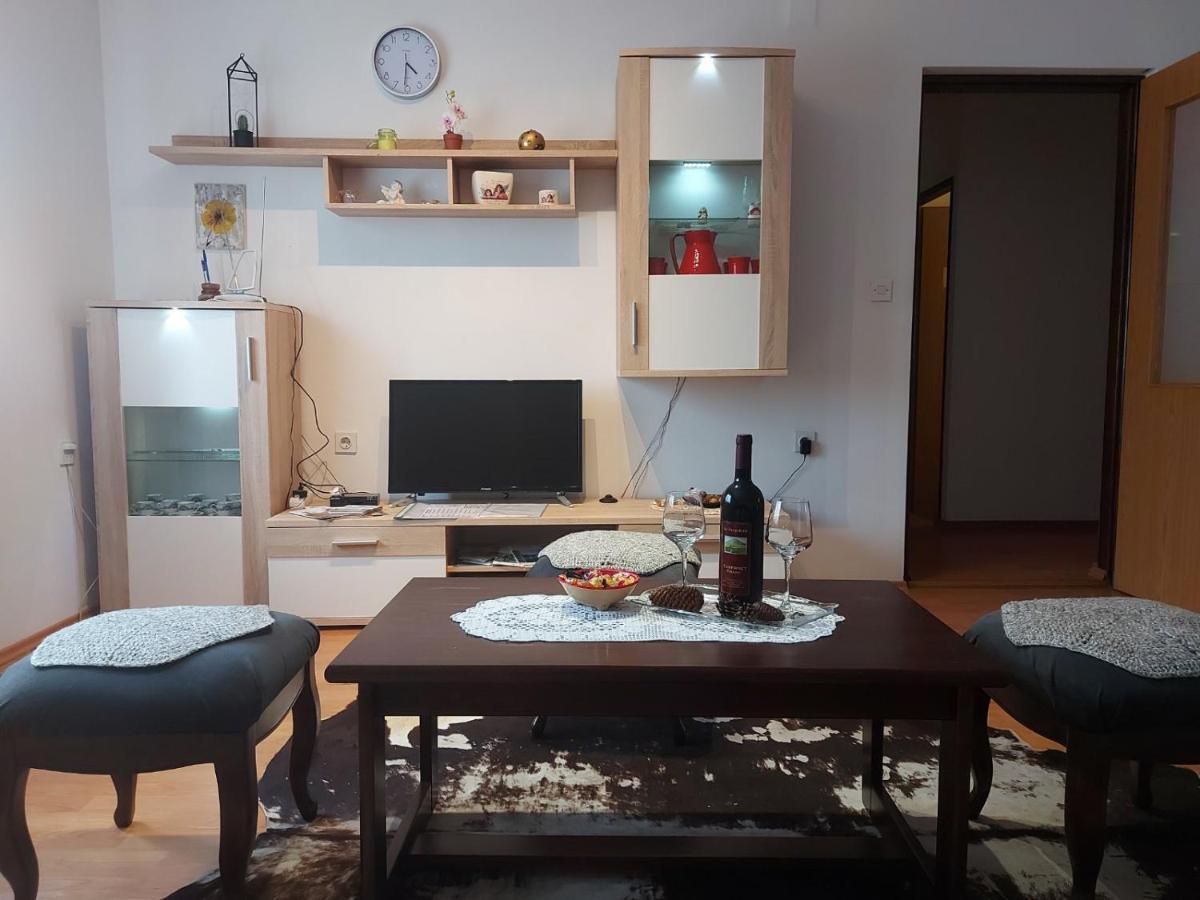 Appartement Apartman Skender 3* Ravna Gora Extérieur photo