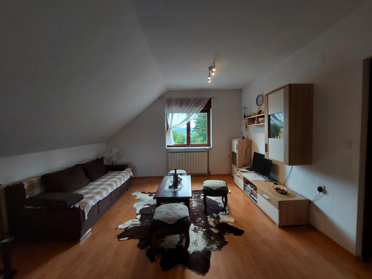 Appartement Apartman Skender 3* Ravna Gora Extérieur photo