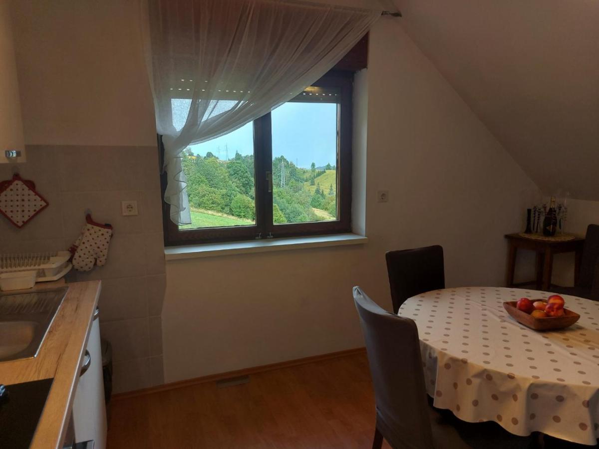 Appartement Apartman Skender 3* Ravna Gora Extérieur photo