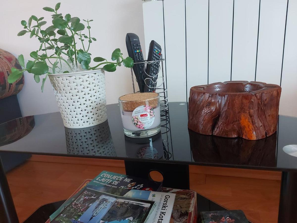 Appartement Apartman Skender 3* Ravna Gora Extérieur photo