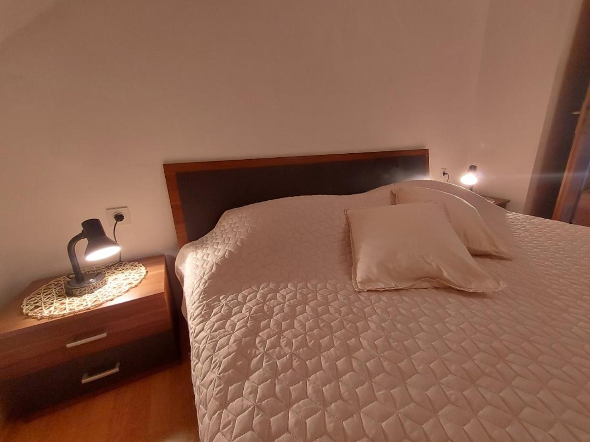 Appartement Apartman Skender 3* Ravna Gora Extérieur photo
