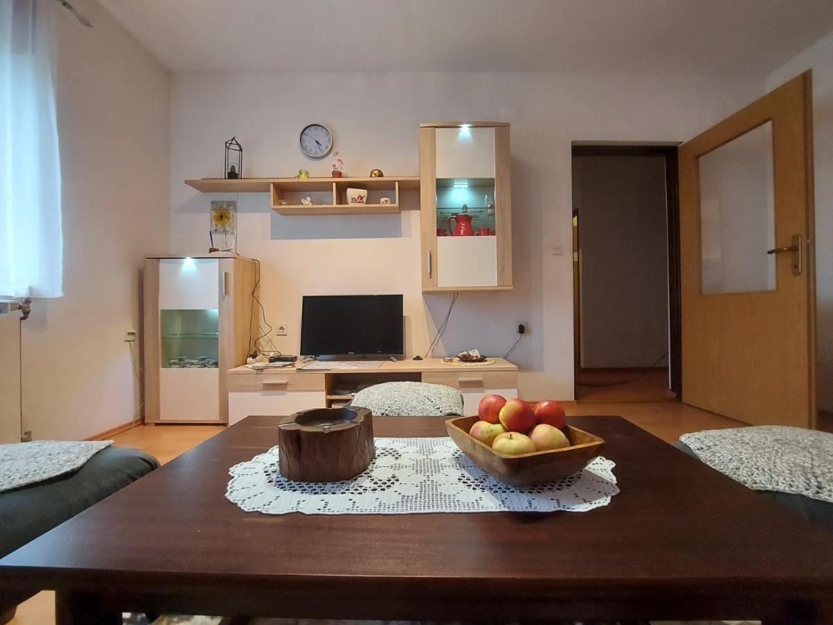 Appartement Apartman Skender 3* Ravna Gora Extérieur photo